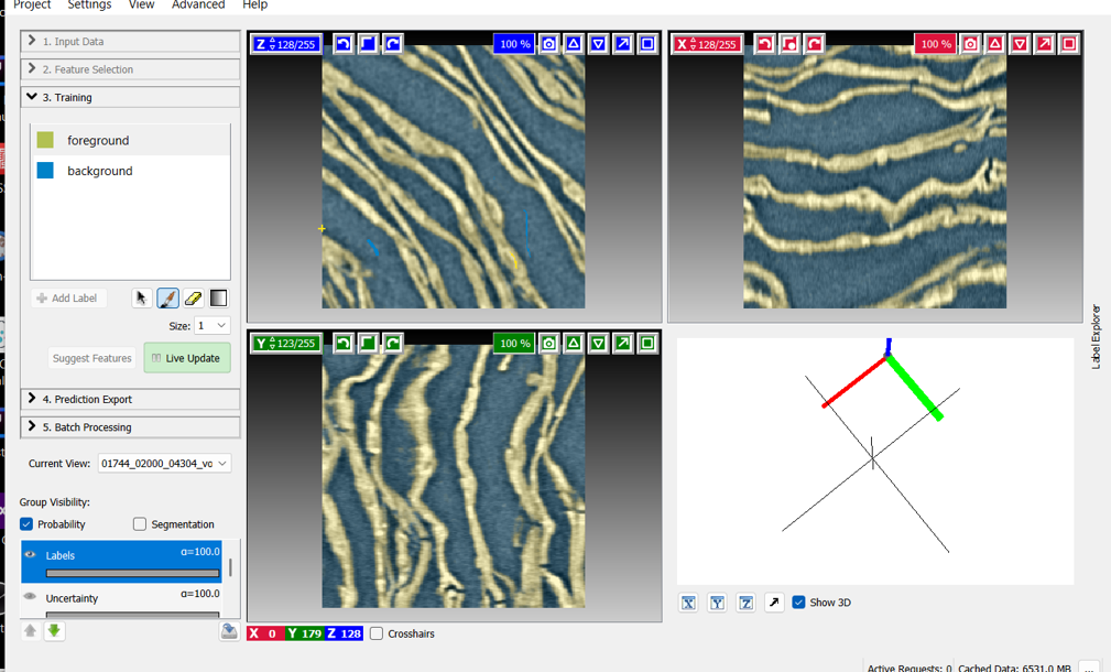 Pixel classification in ilastik on a slice of scroll CT