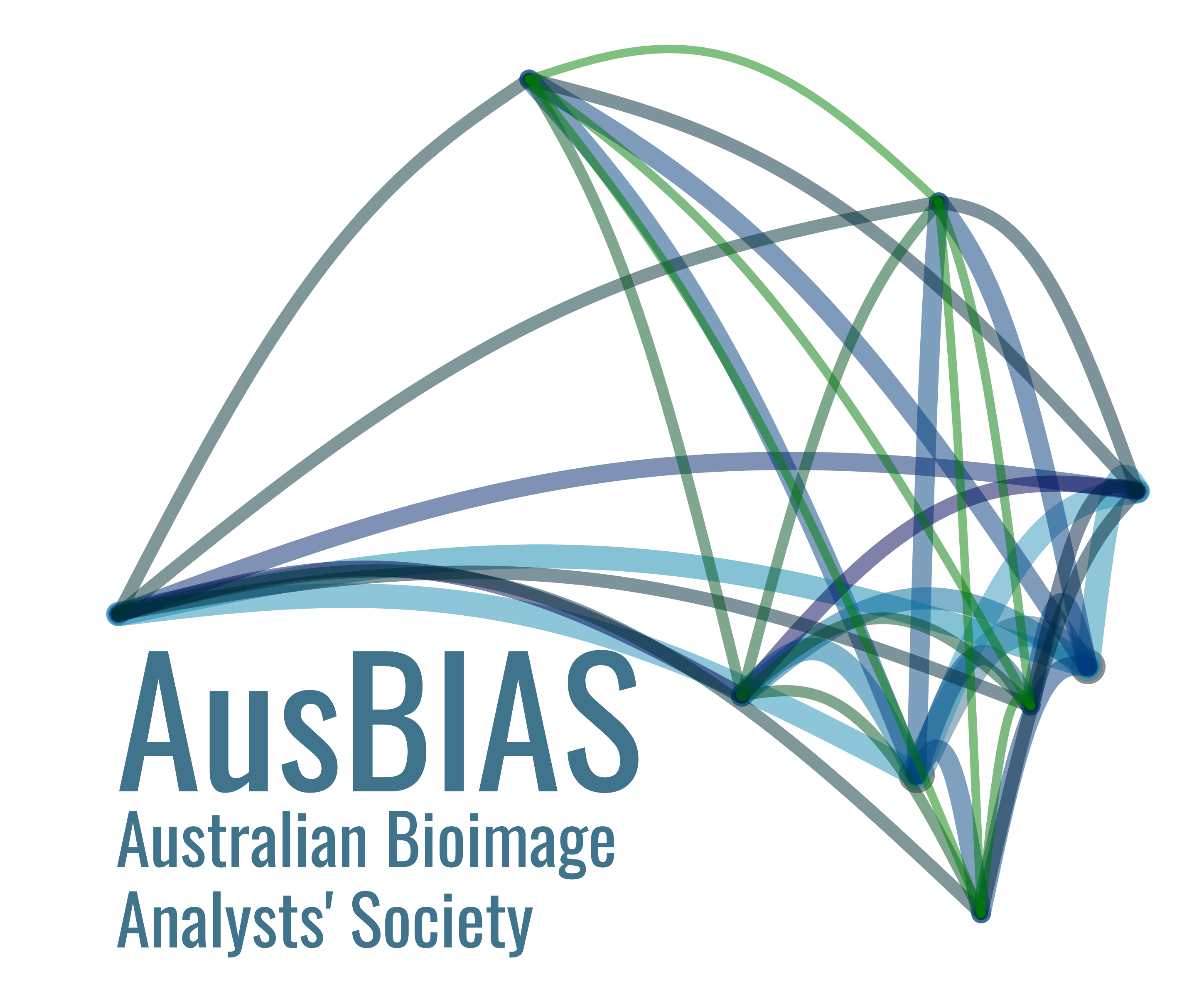 AusBIAS Monthly Meeting logo