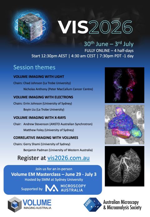 VIS 2026 advertising poster